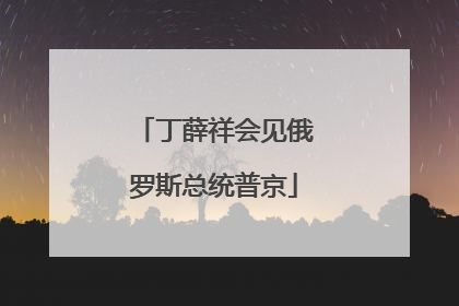 丁薛祥会见俄罗斯总统普京