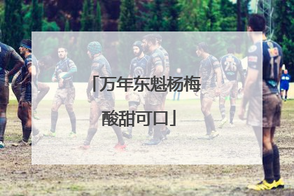 万年东魁杨梅 酸甜可口