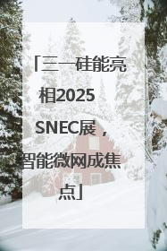 三一硅能亮相2025 SNEC展，智能微网成焦点