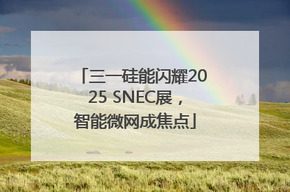 三一硅能闪耀2025 SNEC展，智能微网成焦点