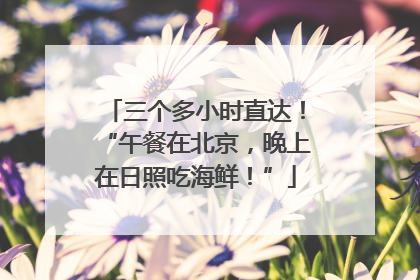 三个多小时直达！“午餐在北京，晚上在日照吃海鲜！”