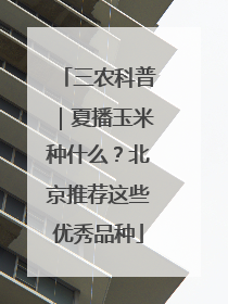 三农科普｜夏播玉米种什么？北京推荐这些优秀品种