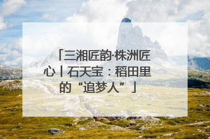 三湘匠韵·株洲匠心丨石天宝：稻田里的“追梦人”