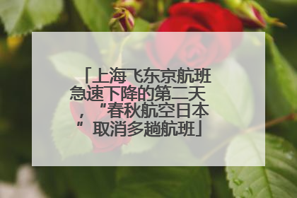 上海飞东京航班急速下降的第二天，“春秋航空日本”取消多趟航班