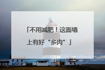 不用减肥！这面墙上有好“多肉”