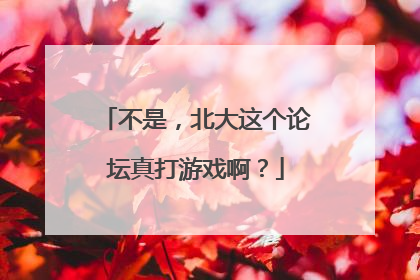 不是，北大这个论坛真打游戏啊？