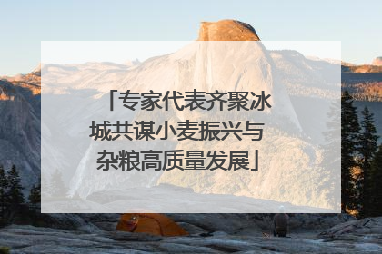 专家代表齐聚冰城共谋小麦振兴与杂粮高质量发展
