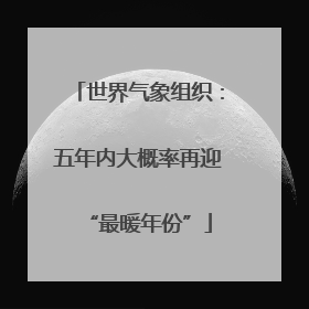 世界气象组织：五年内大概率再迎“最暖年份”