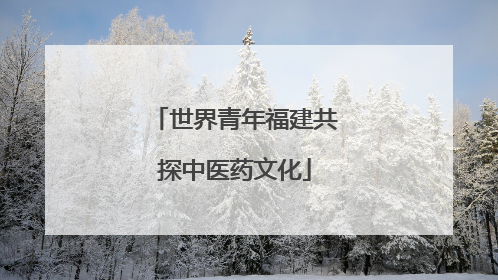 世界青年福建共探中医药文化