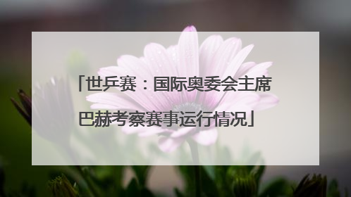 世乒赛：国际奥委会主席巴赫考察赛事运行情况