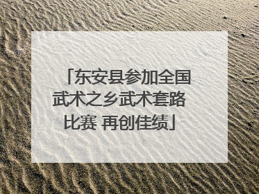 东安县参加全国武术之乡武术套路比赛 再创佳绩