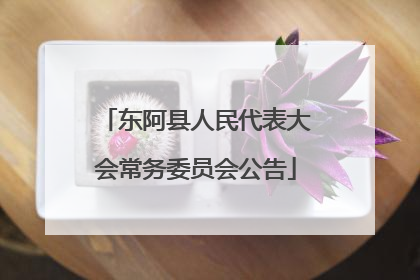 东阿县人民代表大会常务委员会公告