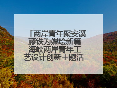 两岸青年聚安溪 藤铁为媒绘新篇 海峡两岸青年工艺设计创新主题活动开幕