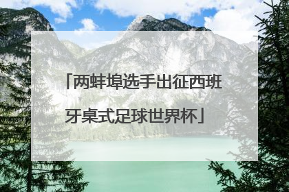 两蚌埠选手出征西班牙桌式足球世界杯