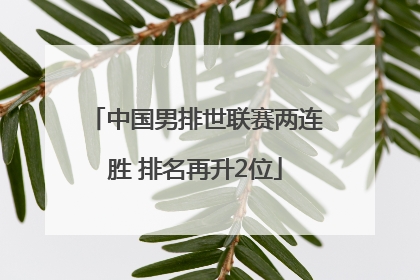 中国男排世联赛两连胜 排名再升2位