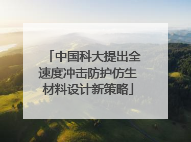 中国科大提出全速度冲击防护仿生材料设计新策略