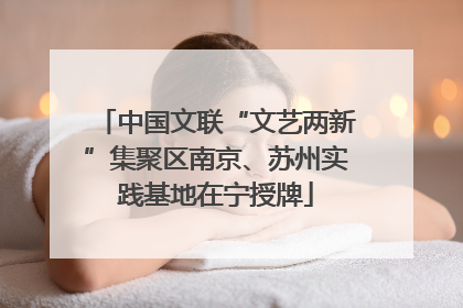 中国文联“文艺两新”集聚区南京、苏州实践基地在宁授牌