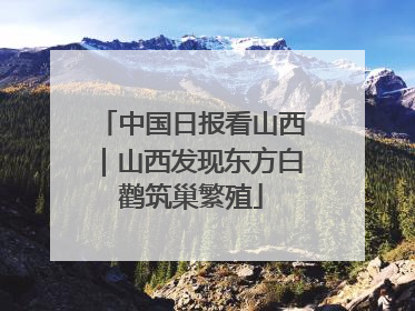 中国日报看山西｜山西发现东方白鹳筑巢繁殖