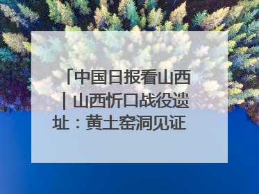 中国日报看山西｜山西忻口战役遗址：黄土窑洞见证全民抗战记忆