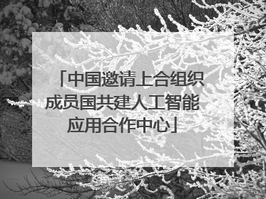 中国邀请上合组织成员国共建人工智能应用合作中心