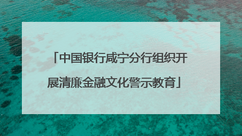 中国银行咸宁分行组织开展清廉金融文化警示教育