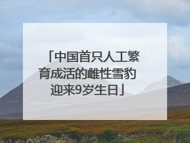 中国首只人工繁育成活的雌性雪豹迎来9岁生日