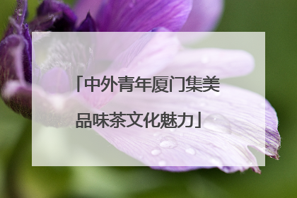 中外青年厦门集美品味茶文化魅力