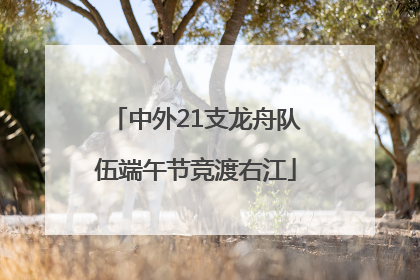 中外21支龙舟队伍端午节竞渡右江