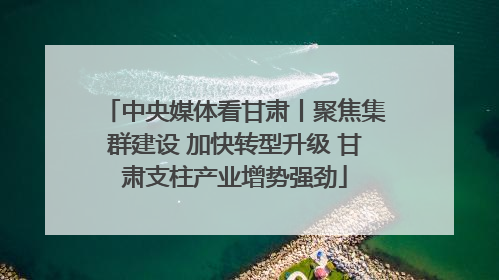中央媒体看甘肃丨聚焦集群建设 加快转型升级 甘肃支柱产业增势强劲