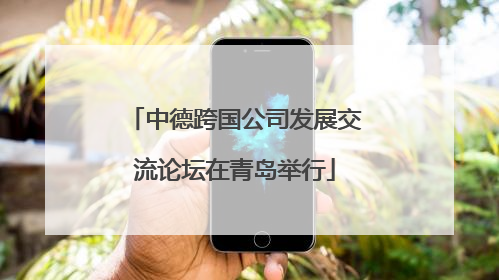 中德跨国公司发展交流论坛在青岛举行