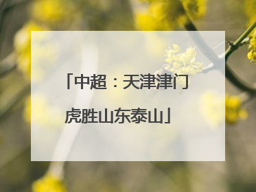 中超：天津津门虎胜山东泰山