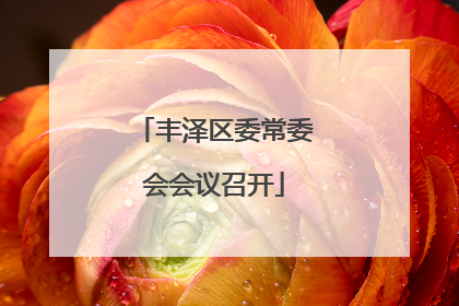 丰泽区委常委会会议召开
