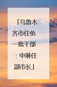 乌鲁木齐市任免一批干部：申琳任副市长