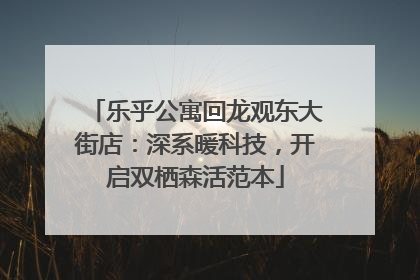 乐乎公寓回龙观东大街店：深系暖科技，开启双栖森活范本