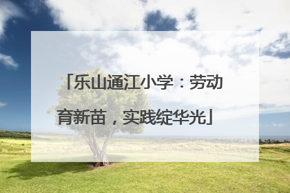 乐山通江小学：劳动育新苗，实践绽华光