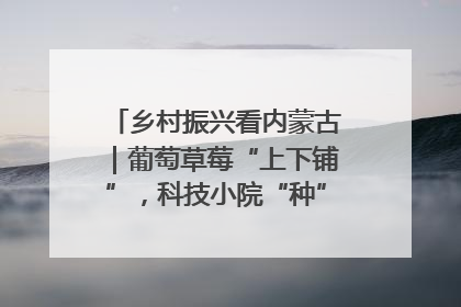 乡村振兴看内蒙古｜葡萄草莓“上下铺”，科技小院“种”出三倍效益