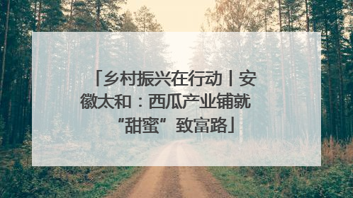 乡村振兴在行动丨安徽太和：西瓜产业铺就“甜蜜”致富路