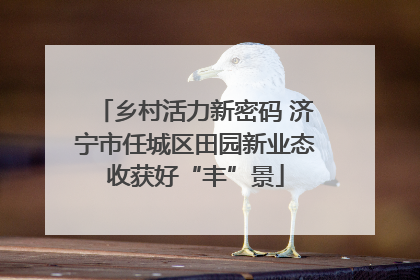 乡村活力新密码 济宁市任城区田园新业态收获好“丰”景