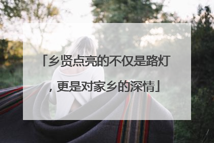 乡贤点亮的不仅是路灯，更是对家乡的深情
