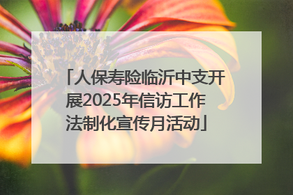 人保寿险临沂中支开展2025年信访工作法制化宣传月活动