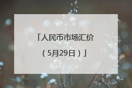 人民币市场汇价（5月29日）