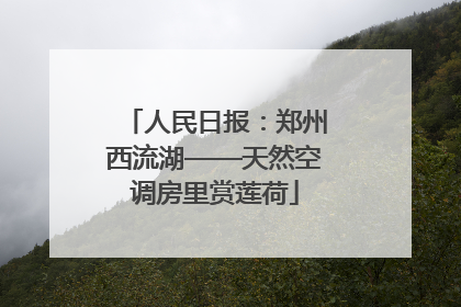 人民日报：郑州西流湖——天然空调房里赏莲荷