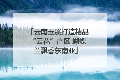 云南玉溪打造精品“云花”产区 蝴蝶兰飘香东南亚