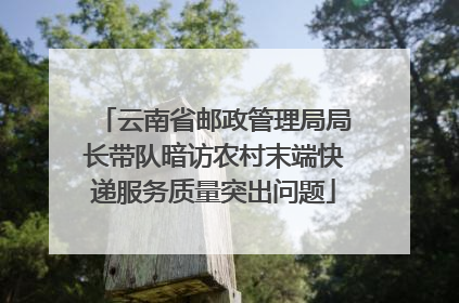 云南省邮政管理局局长带队暗访农村末端快递服务质量突出问题