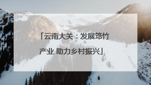 云南大关：发展筇竹产业 助力乡村振兴