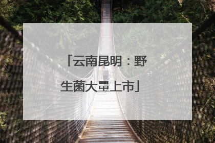 云南昆明：野生菌大量上市