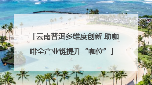 云南普洱多维度创新 助咖啡全产业链提升“咖位”