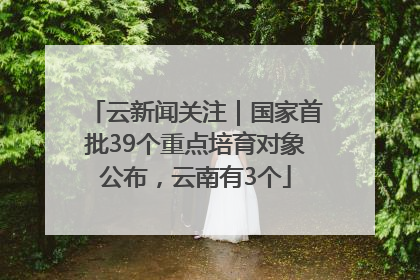 云新闻关注｜国家首批39个重点培育对象公布，云南有3个