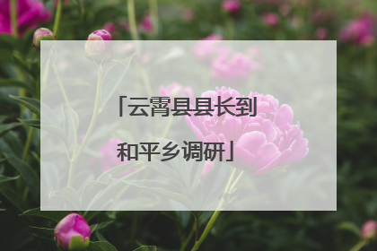 云霄县县长到和平乡调研