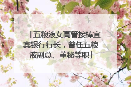 五粮液女高管接棒宜宾银行行长，曾任五粮液副总、董秘等职